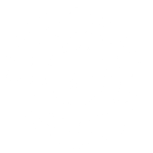 White sparkles and lens flare light