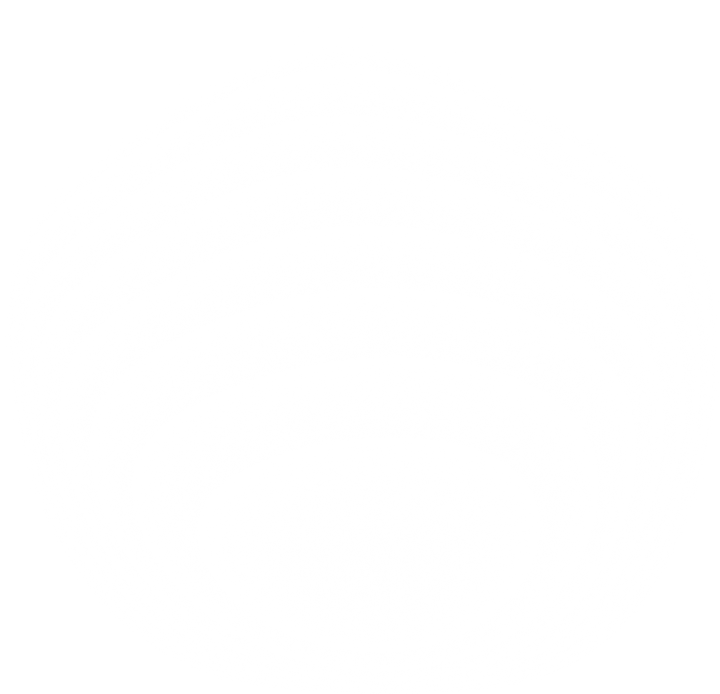 white gradient shadow